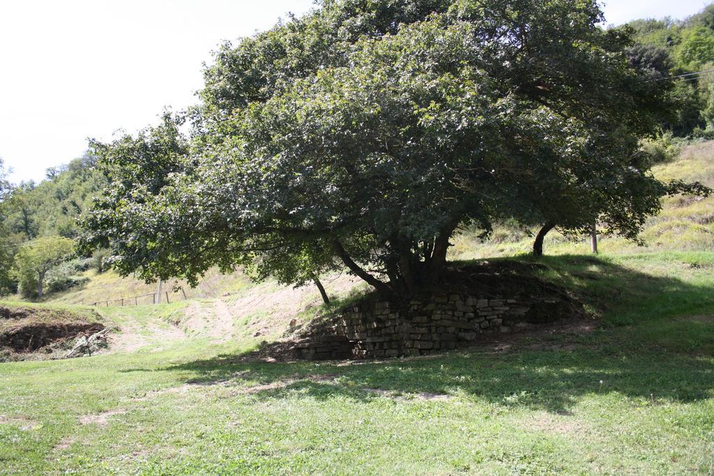 Locanda Di Alberi บอร์โก ซาน ลอเรนโซ ภายนอก รูปภาพ
